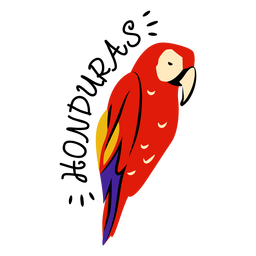 Scarlet macaw honduras illustration PNG Design
