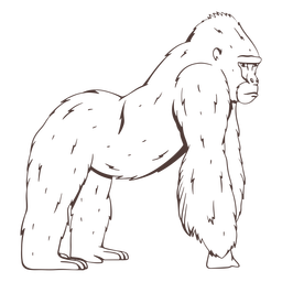 Dibujado a mano gorila serio Diseño PNG