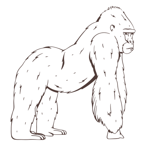 Ernst Gorilla Hand gezeichnet PNG-Design