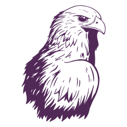 Side eagle hand drawn Side eagle hand drawn
