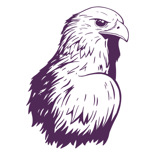 Download Side Eagle Hand Drawn Transparent Png Svg Vector File