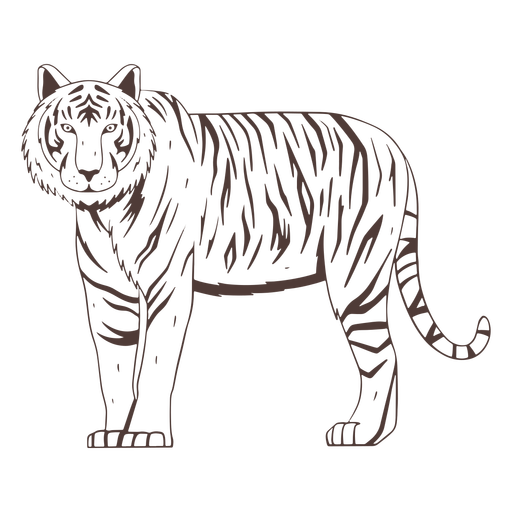 Tigre lateral desenhado ? m?o Desenho PNG