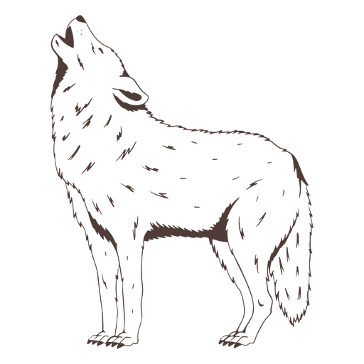 Lobo uivando em pé desenhado à mão Desenho PNG