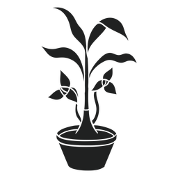Planta de casa Trilium cortada Desenho PNG