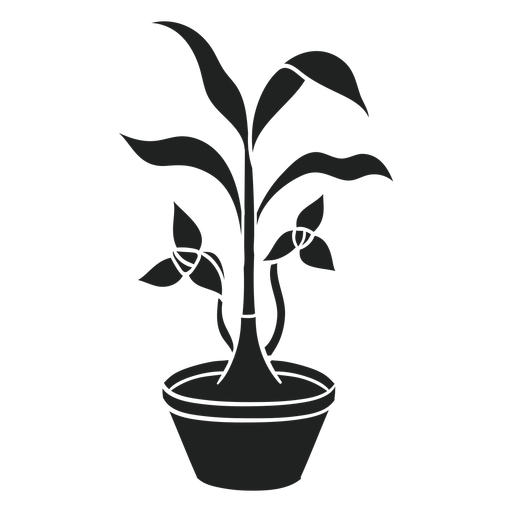 Trilium houseplant cut out PNG Design