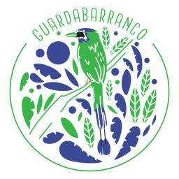 Motmot turquesa Desenho PNG