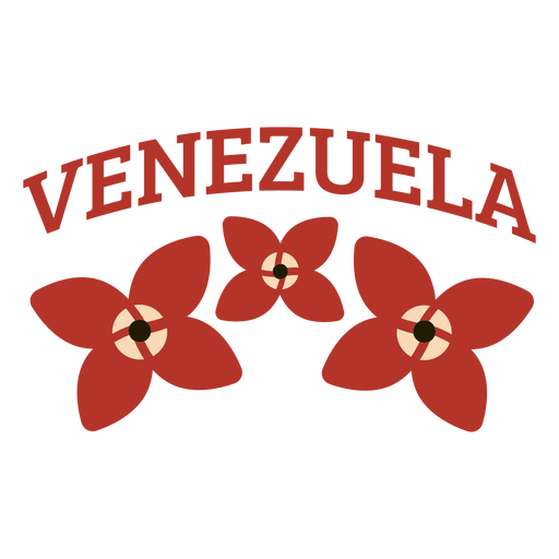 Letras de flores da Venezuela Desenho PNG