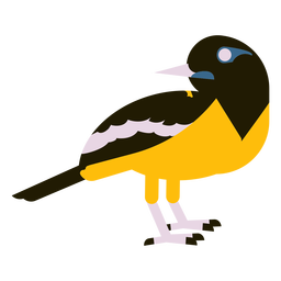 Venezuelan troupial flat PNG Design