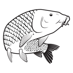 Carp Fish Stroke PNG & SVG Design For T-Shirts