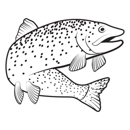 Trout Fish Stroke PNG & SVG Design For T-Shirts