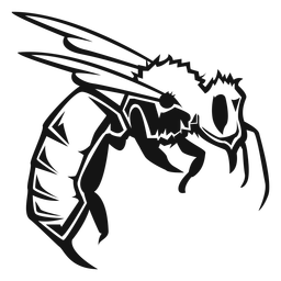 Wasp insect high contrast PNG Design