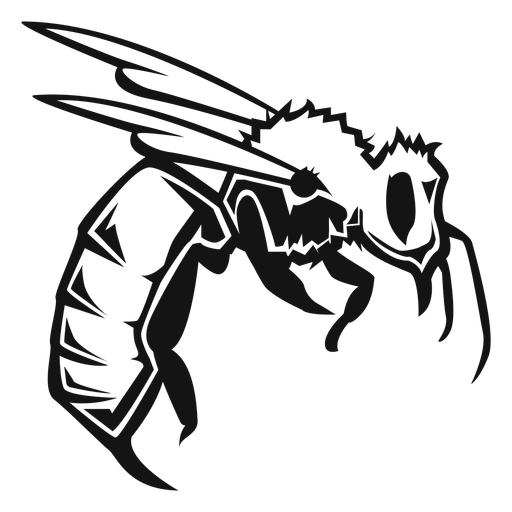Wasp insect high contrast PNG Design