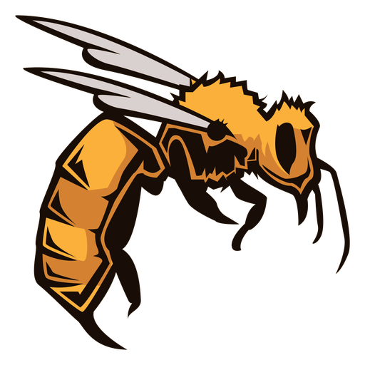 Logotipo do inseto da vespa Desenho PNG