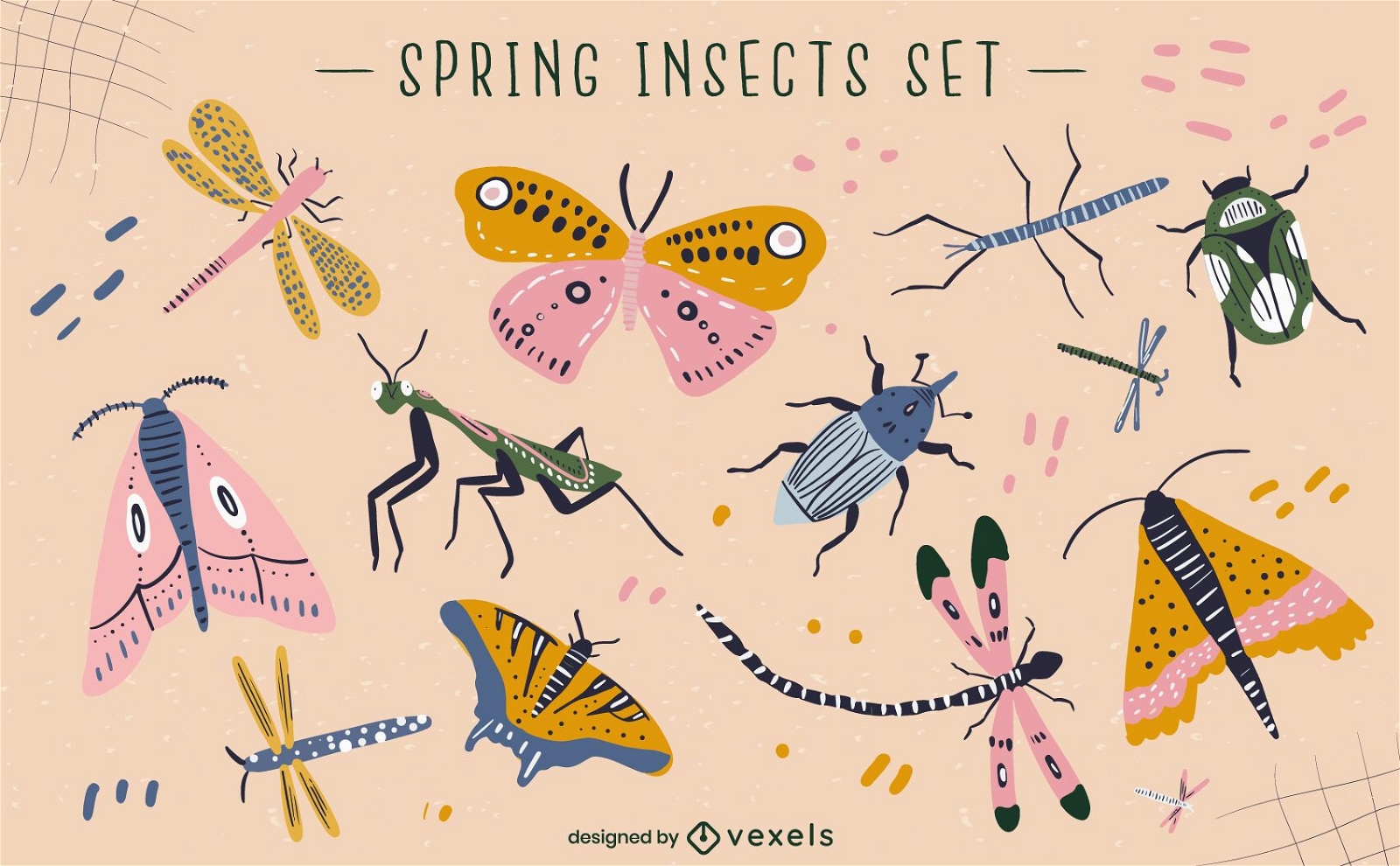 Conjunto de vetores de insetos da primavera