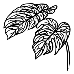 Trazo de hojas de palma Diseño PNG