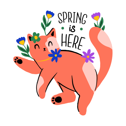 Gato acogedor primavera plana