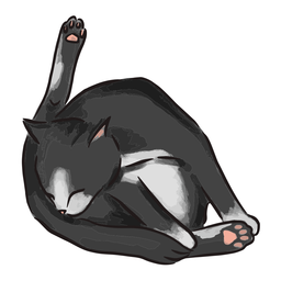 Black cat bathing illustration PNG Design Transparent PNG