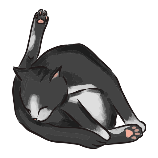 Schwarze Katze, die Illustration badet