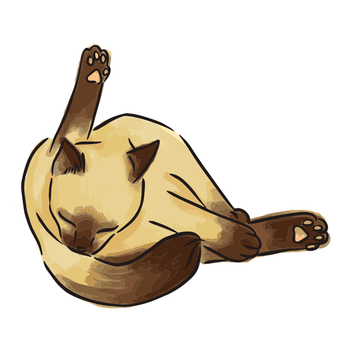 Siamese cat bathing illustration PNG Design