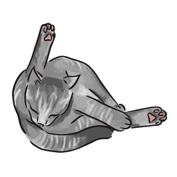 House cat bathing illustration PNG Design Transparent PNG