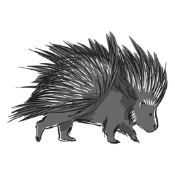Ilustração de porco-espinho fofo Desenho PNG