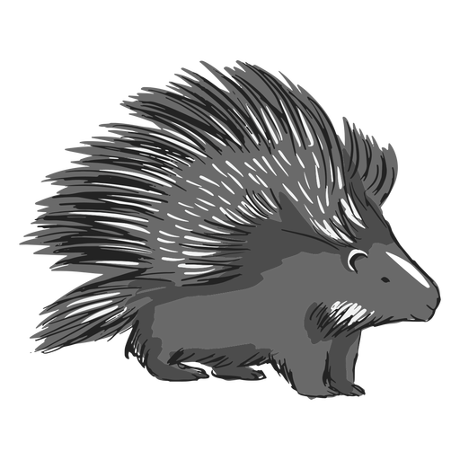 Porcupine spines illustration PNG Design