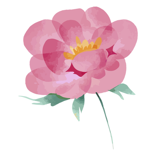 Aquarellrosa Blume PNG-Design