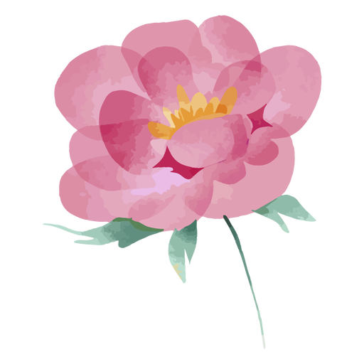 Flor rosa acuarela Diseño PNG