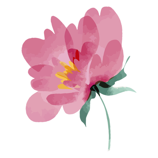 Flor rosa acuarela