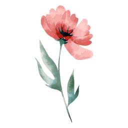 Stem Rose Watercolor PNG & SVG Design For T-Shirts