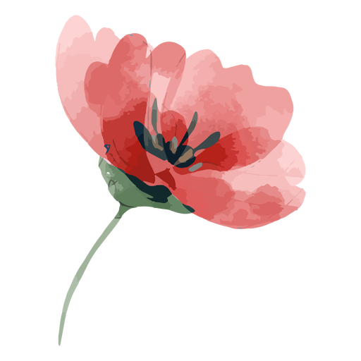 Acuarela flor rosa Diseño PNG