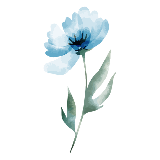 Aquarela de flores turquesa
