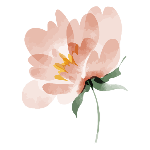 Flower stem watercolor