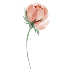 Download Long Stem Flower Watercolor Transparent Png Svg Vector