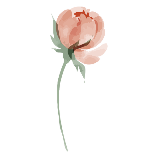 Acuarela de flores de tallo largo Diseño PNG