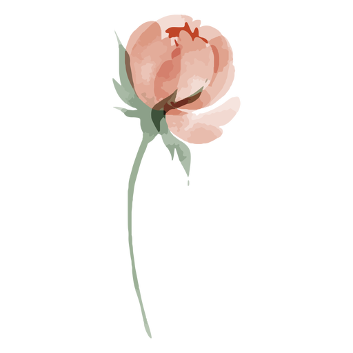 Long stem flower watercolor