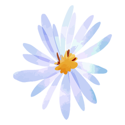 Aquarela de flor aster