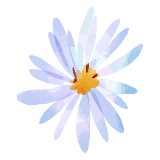 Acuarela de flor de aster
