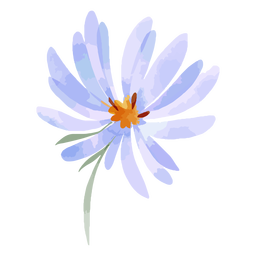Flor de aster em aquarela Transparent PNG