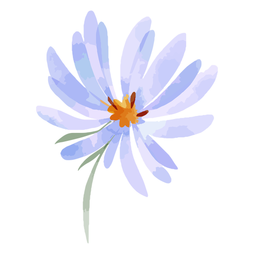 Aquarell-Asterblume PNG-Design