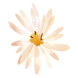 Aquarela de pétalas de flores de áster