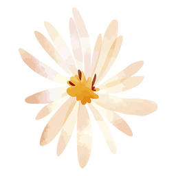 Blumen Aster Blütenblätter Aquarell PNG-Design