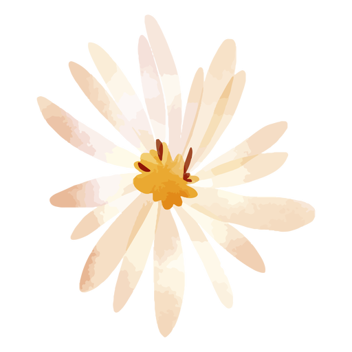 Aquarela de pétalas de flores de áster Desenho PNG