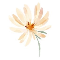 Aquarela de flores cor de pêssego Transparent PNG