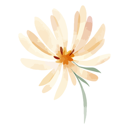 Peach color flower watercolor PNG Design