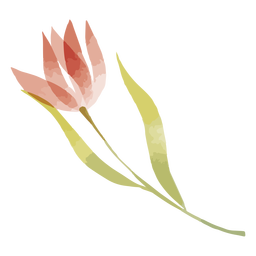 Rote Blume Aquarell PNG-Design