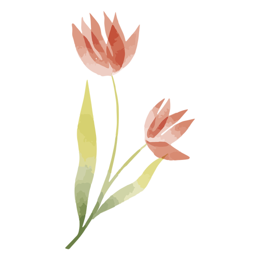 Flor de acuarela de tallo largo Diseño PNG