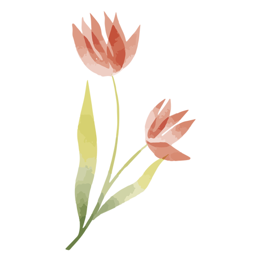 Download Long Stem Watercolor Flower Transparent Png Svg Vector File