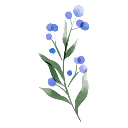 Globe Distel Aquarell PNG-Design