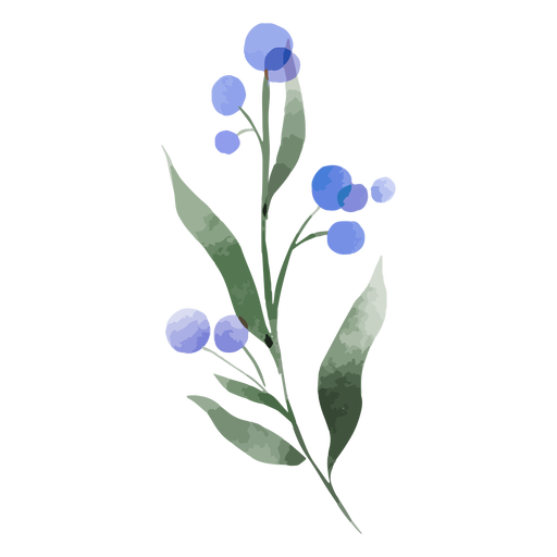 Aquarela de flor de cardo Desenho PNG